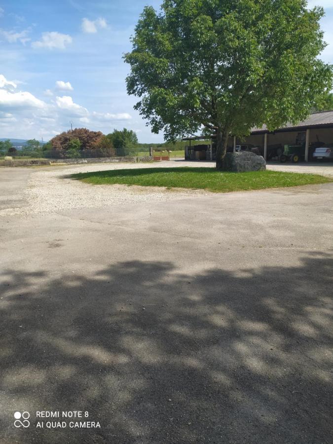 ホテル Le Saloon Chazey-sur-Ain エクステリア 写真